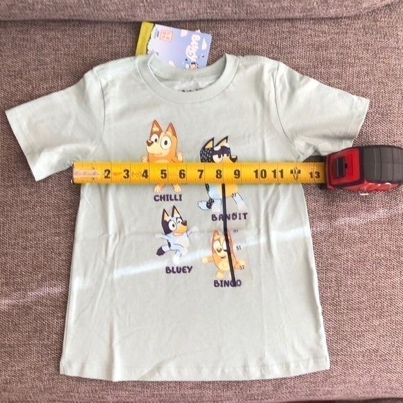 MOOSE Toddler Boy Girl Bluey Printed Short Sleeve T-Shirt Green 5T - Picture 7 of 8